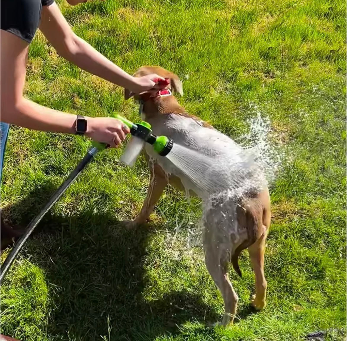 High-Pressure Sprayer Nozzle Hose Dog Shower Gun 3 Mode Adjustable Pet Wash Cleaning Bath Water Foam Soap Sprayer Dog Clean Tool